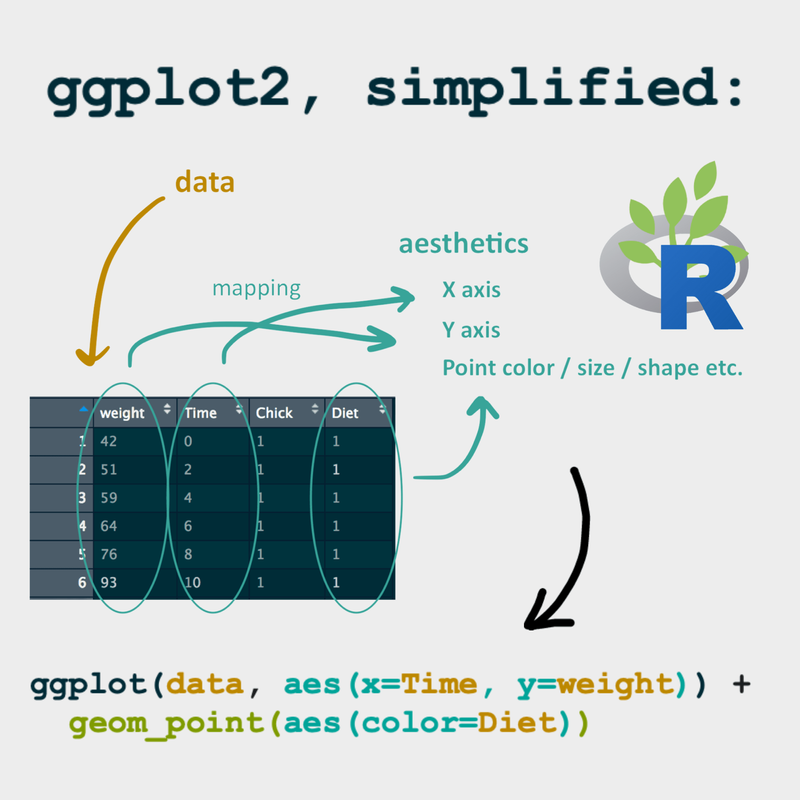 Data Visualization in R Studio: Creating Plots and Charts with ggplot2 ...