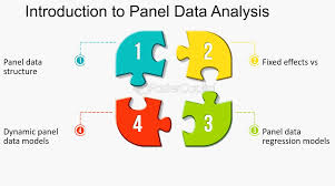 Introduction to Panel Data Analysis